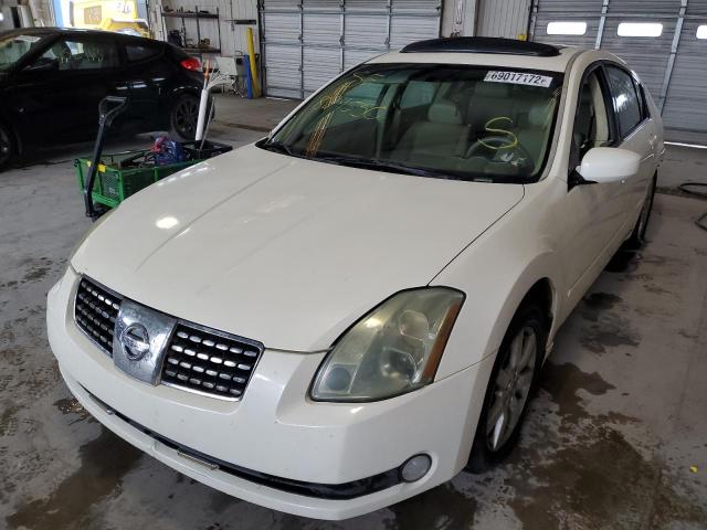 NISSAN MAXIMA SE 2004 with VIN 1N4BA41E44C889550 - Photo from auction