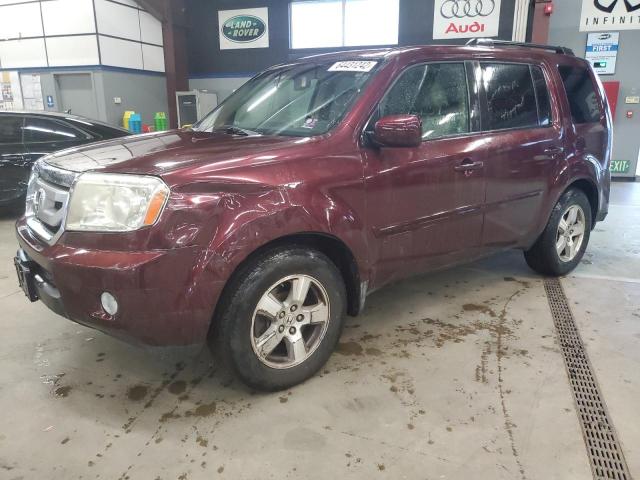 HONDA PILOT EXL 2009 with VIN 5FNYF48589B030659 - Photo from auction