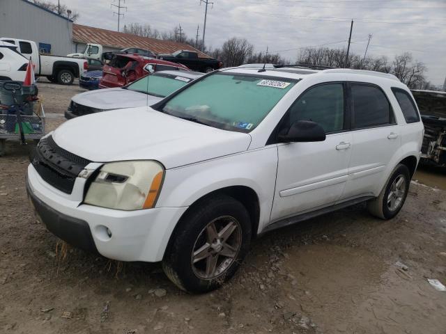 Photo 1 from auction – 2005 CHEVROLET EQUINOX LT with VIN 2CNDL73F156160707