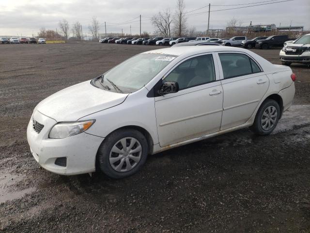 TOYOTA COROLLA BA 2010 with VIN 2T1BU4EE0AC424424 - Photo from auction