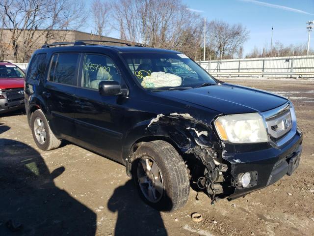 Photo 4 from auction – 2011 HONDA PILOT EXL with VIN 5FNYF4H51BB002546