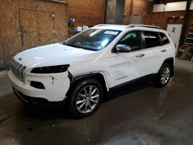 JEEP CHEROKEE L 2018 with VIN 1C4PJMDX6JD571478 - Photo from auction