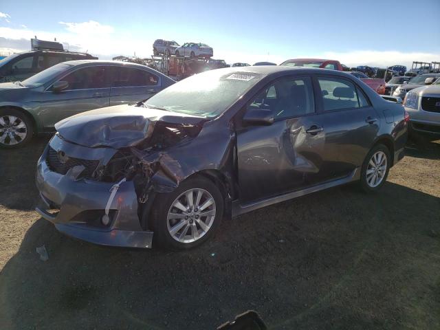 TOYOTA COROLLA 2010 with VIN 2T1BU4EE2AC462804 - Photo from auction