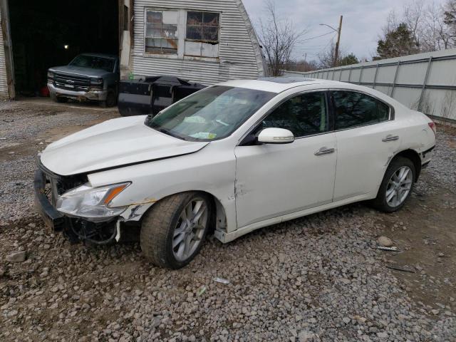 NISSAN MAXIMA S 2010 z numerem VIN 1N4AA5AP7AC841197 - Zdjęcie z aukcji
