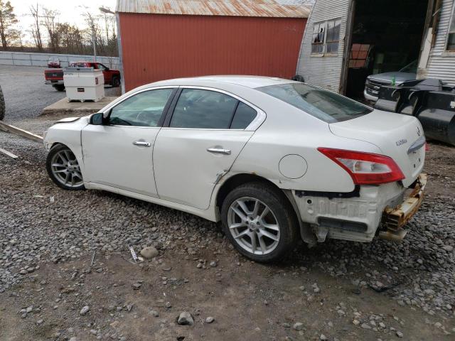 Photo 2 from auction – 2010 NISSAN MAXIMA S with VIN 1N4AA5AP7AC841197