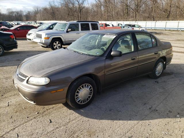 CHEVROLET MALIBU 2002 with VIN 1G1ND52J42M628581 - Photo from auction