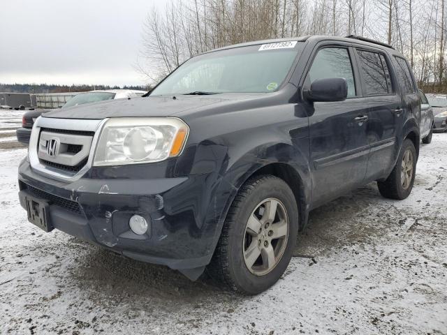 HONDA PILOT EXL 2010 with VIN 5FNYF4H52AB019998 - Photo from auction
