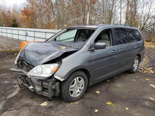 HONDA ODYSSEY EX 2007 with VIN 5FNRL38797B137600 - Photo from auction