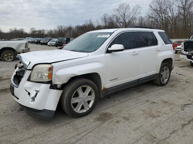 GMC TERRAIN SL 2010 with VIN 2CTFLGEW2A6229901 - Photo from auction