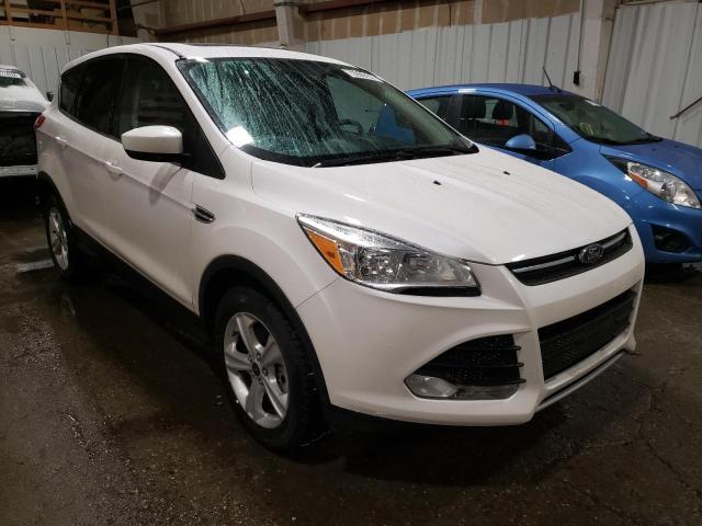 Photo 4 from auction – 2014 FORD ESCAPE SE with VIN 1FMCU9G9XEUC23281