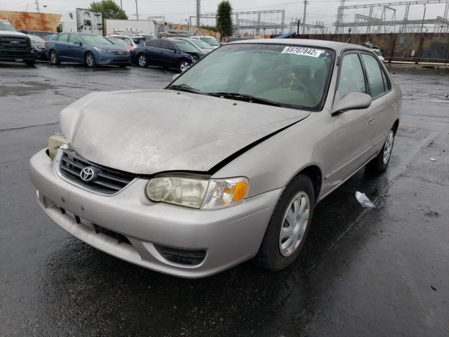 TOYOTA COROLLA CE 2002 with VIN 1NXBR12E12Z599513 - Photo from auction