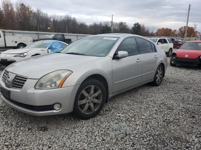 NISSAN MAXIMA SE 2006 with VIN 1N4BA41E36C850743 - Photo from auction