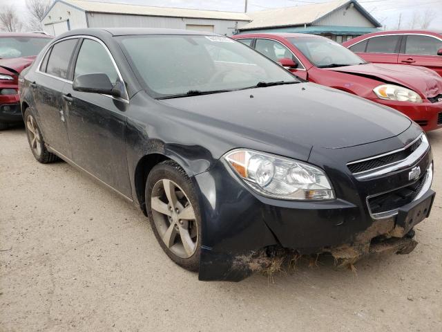 Photo 4 from auction – 2011 CHEVROLET MALIBU 1LT with VIN 1G1ZC5E14BF331492