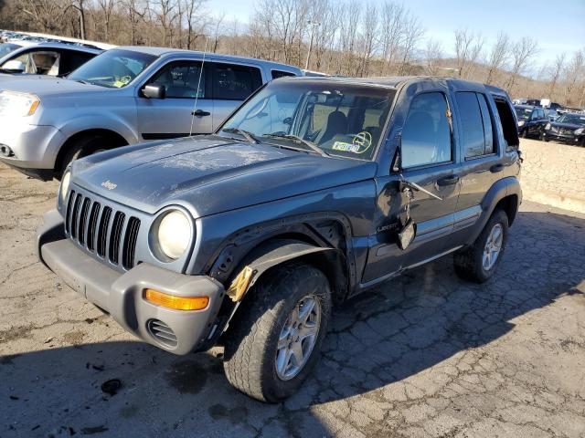 JEEP LIBERTY SP 2002 with VIN 1J4GL48K72W166593 - Photo from auction