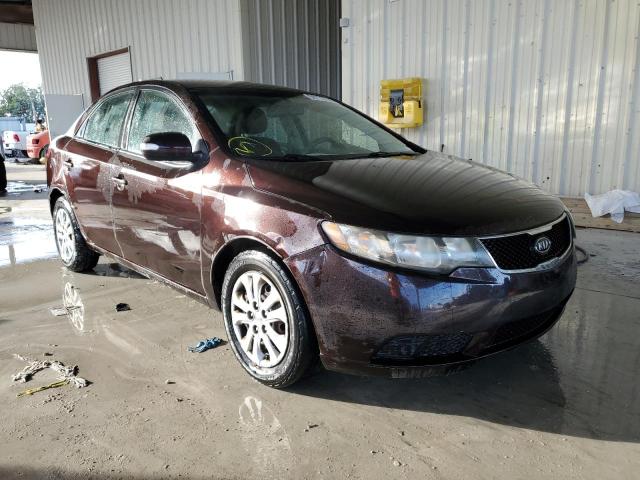 Photo 4 from auction – 2010 KIA FORTE EX with VIN KNAFU4A22A5230324
