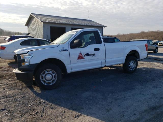 FORD F150 2015 with VIN 1FTMF1C8XFKD71249 - Photo from auction
