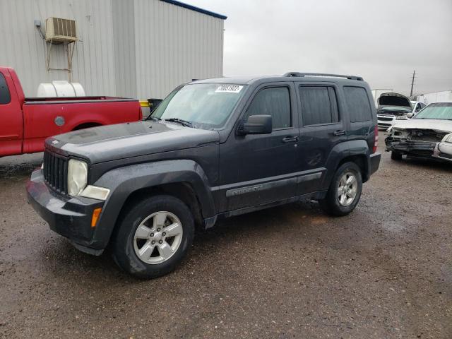 JEEP LIBERTY SP 2010 with VIN 1J4PP2GK7AW181796 - Photo from auction