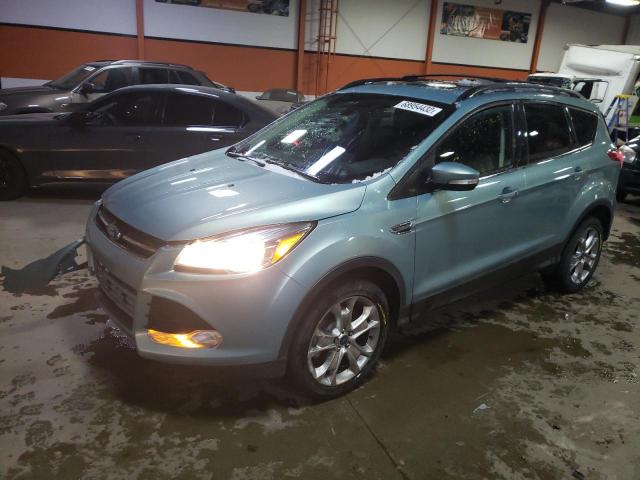 FORD ESCAPE SEL 2013 with VIN 1FMCU9H94DUB58196 - Photo from auction