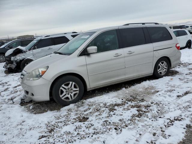 HONDA ODYSSEY EX 2007 with VIN 5FNRL38797B455099 - Photo from auction