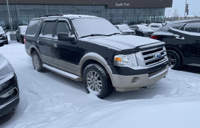 FORD EXPEDITION 2010 with VIN 1FMJU1J53AEA14693 - Photo from auction
