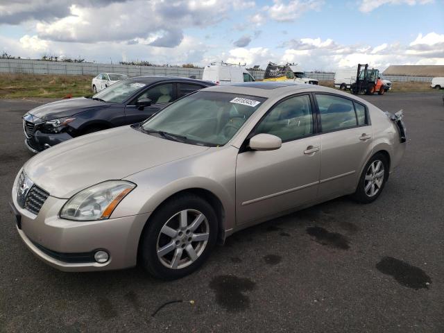 NISSAN MAXIMA SE 2005 with VIN 1N4BA41E05C819562 - Photo from auction