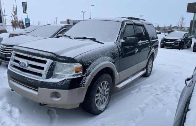 Photo 2 from auction – 2010 FORD EXPEDITION with VIN 1FMJU1J53AEA14693