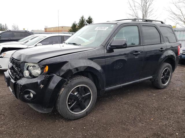 FORD ESCAPE XLT 2010 with VIN 1FMCU0D78AKC38995 - Photo from auction
