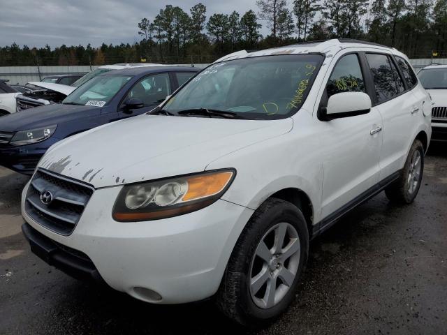 HYUNDAI SANTA FE S 2007 with VIN 5NMSH73E17H043113 - Photo from auction