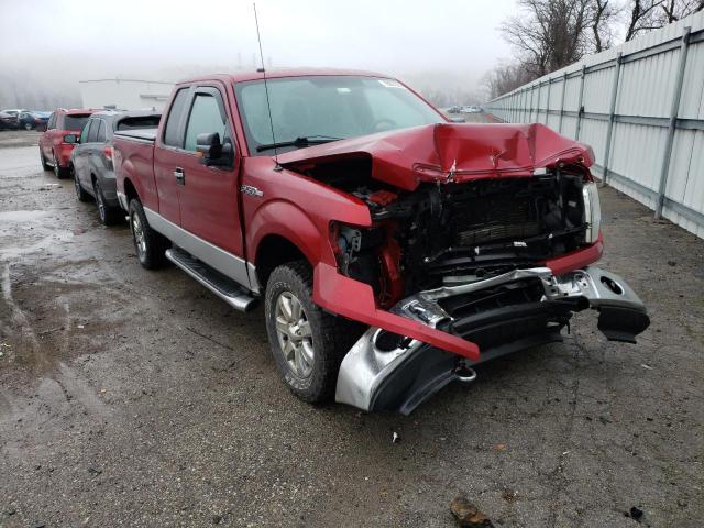 FORD F150 2014 with VIN 1FTFX1EFXEFD14378 - Photo from auction