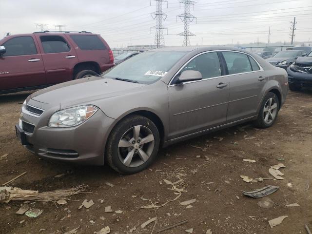 CHEVROLET MALIBU 2011 с VIN 1G1ZC5E12BF337906 - Фото с аукциона