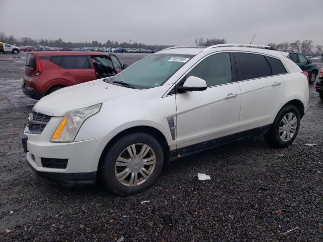 CADILLAC SRX PERFOR 2010 with VIN 3GYFNDEY5AS517445 - Photo from auction