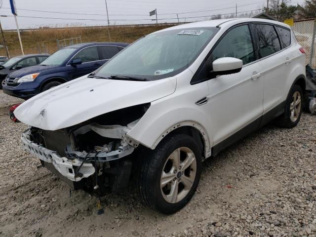 FORD ESCAPE SE 2014 with VIN 1FMCU0GX9EUD30266 - Photo from auction