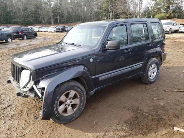 JEEP LIBERTY SP 2011 with VIN 1J4PN2GK3BW581667 - Photo from auction