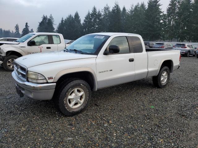 DODGE DAKOTA 2000 with VIN 1B7GG22N2YS554039 - Photo from auction
