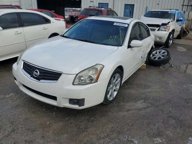 NISSAN MAXIMA SE 2008 with VIN 1N4BA41E08C815614 - Photo from auction