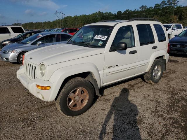Photo 1 from auction – 2002 JEEP LIBERTY LI with VIN 1J4GL58K82W308648