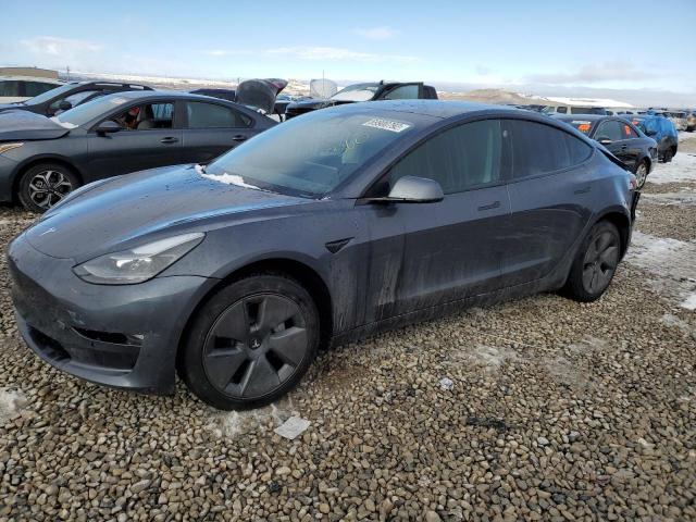 TESLA MODEL 3 2021 with VIN 5YJ3E1EB4MF019513 - Photo from auction