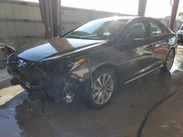 HYUNDAI SONATA SPO 2017 with VIN 5NPE34AF4HH508249 - Photo from auction