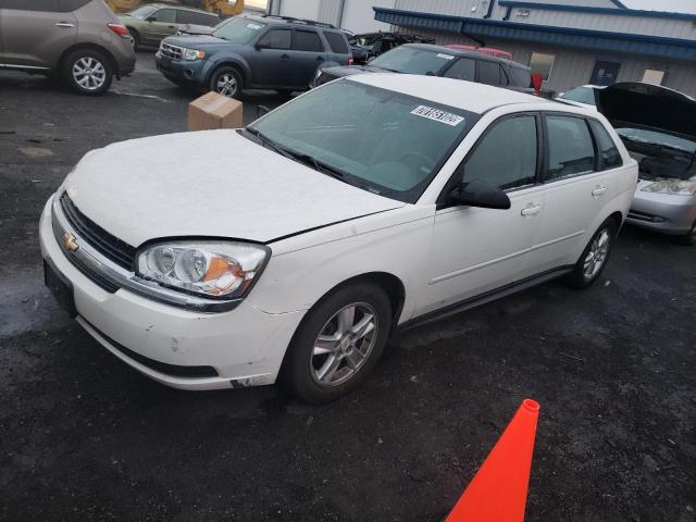 CHEVROLET MALIBU MAX 2005 with VIN 1G1ZT62885F273690 - Photo from auction