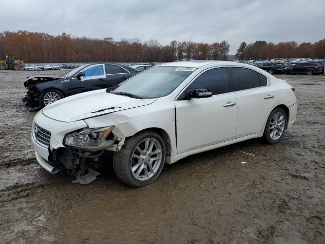 NISSAN MAXIMA S 2010 with VIN 1N4AA5AP4AC859205 - Photo from auction