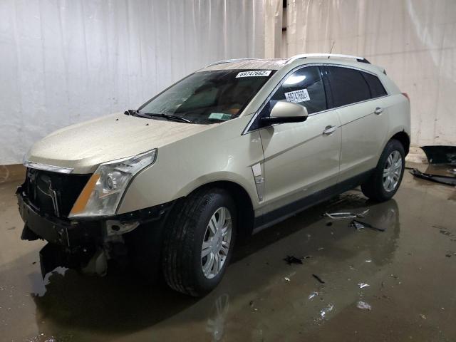 CADILLAC SRX LUXURY 2011 with VIN 3GYFNDEY9BS648833 - Photo from auction