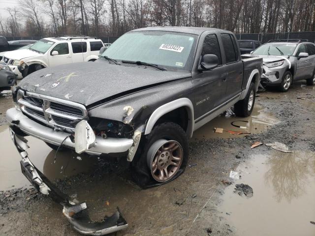 DODGE DAKOTA QUA 2002 with VIN 1B7HG48N52S545334 - Photo from auction