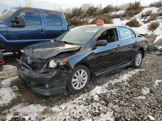 TOYOTA COROLLA BA 2010 with VIN 2T1BU4EE5AC429635 - Photo from auction