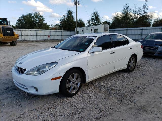 LEXUS ES 330 2005 with VIN JTHBA30G455091478 - Photo from auction