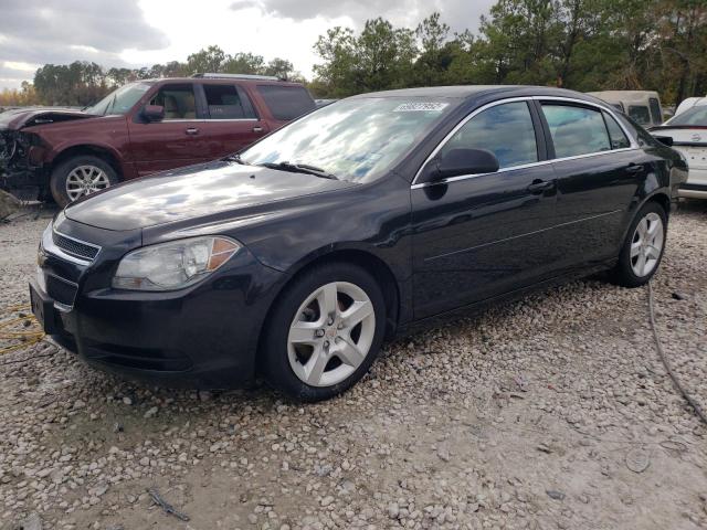CHEVROLET MALIBU LS 2012 with VIN 1G1ZB5E0XCF147721 - Photo from auction