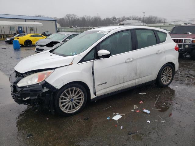 FORD C-MAX SEL 2013 with VIN 1FADP5BU2DL514873 - Photo from auction
