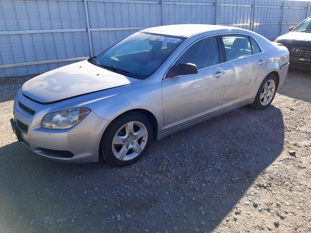CHEVROLET MALIBU LS 2010 with VIN 1G1ZA5E00AF280682 - Photo from auction