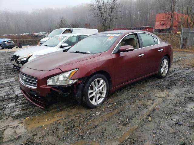 NISSAN MAXIMA S 2010 with VIN 1N4AA5AP4AC829380 - Photo from auction