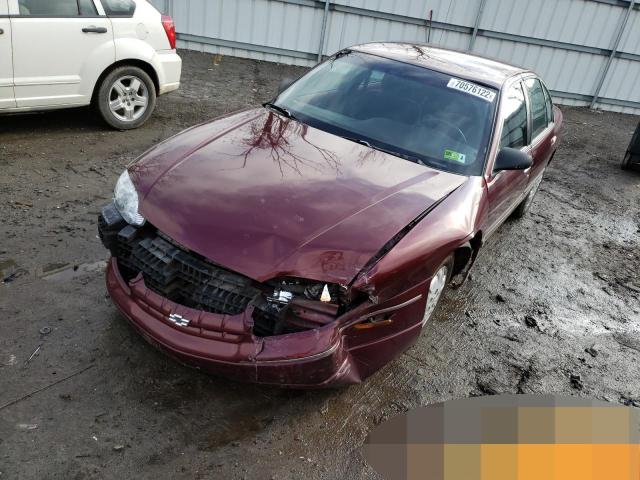 CHEVROLET LUMINA BAS 1997 with VIN 2G1WL52M3V9250482 - Photo from auction