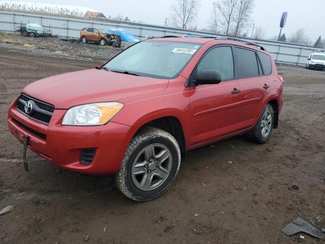 TOYOTA RAV4 2011 with VIN 2T3BF4DVXBW125719 - Photo from auction